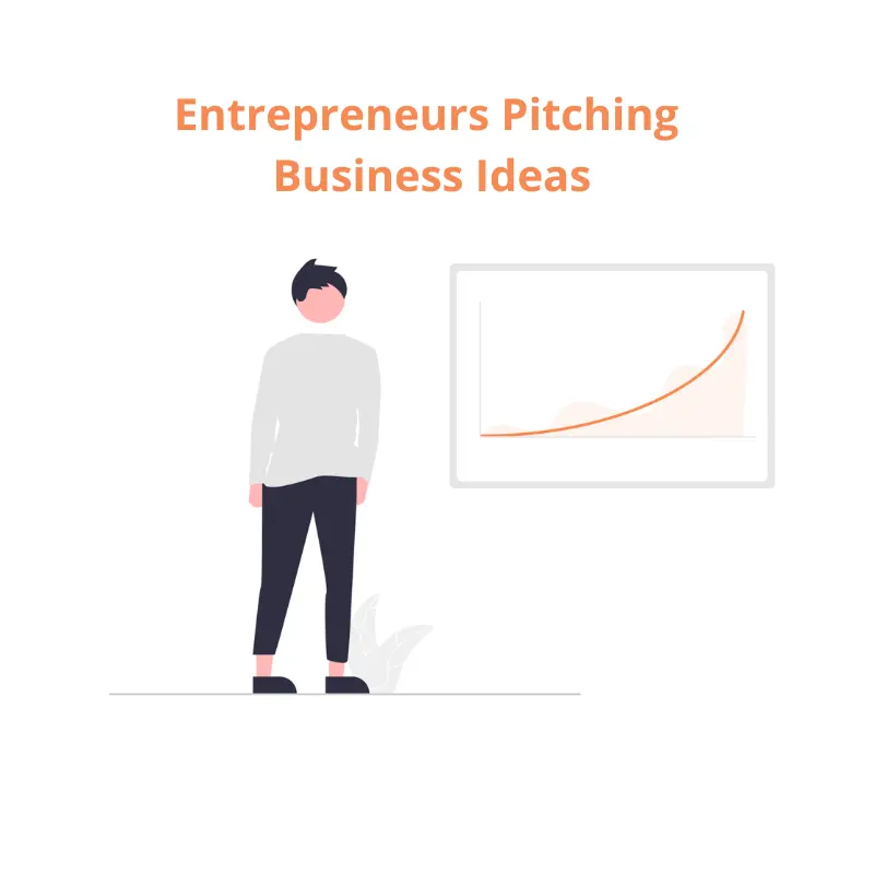 Entrepreneurs Pitching Business Ideas